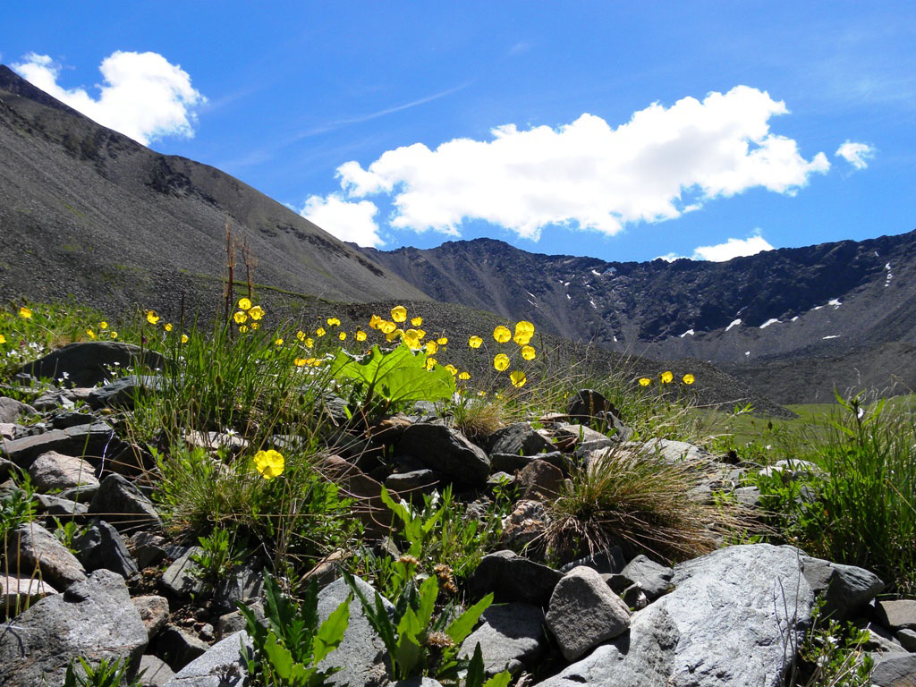 ��������� ������...