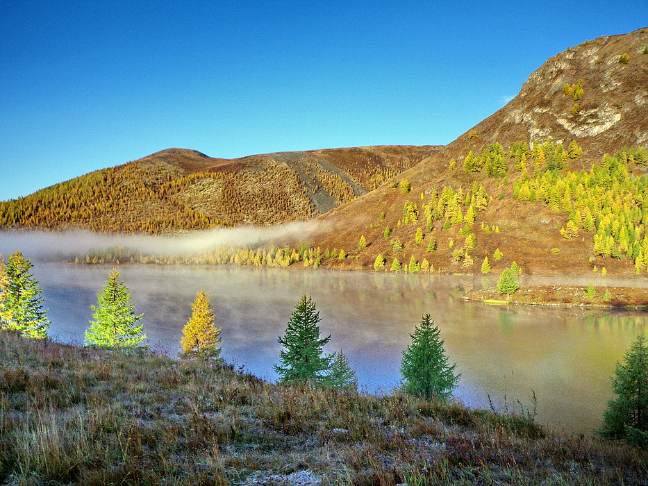 ����� �� �������.