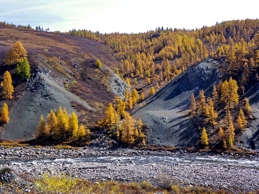 ���� �� ������.