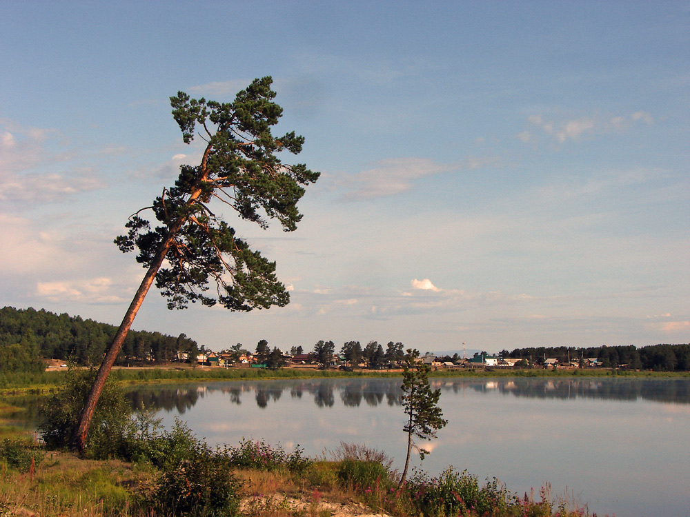 ������ �����