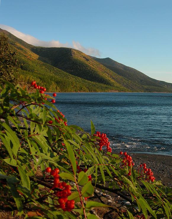 ��������� ����