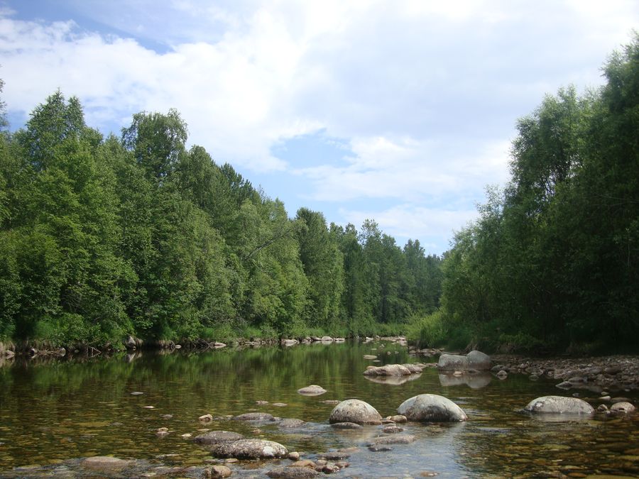 ������ ����-�����