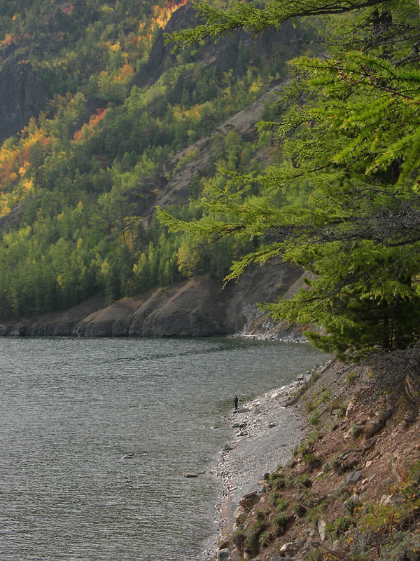 ������� � ��������