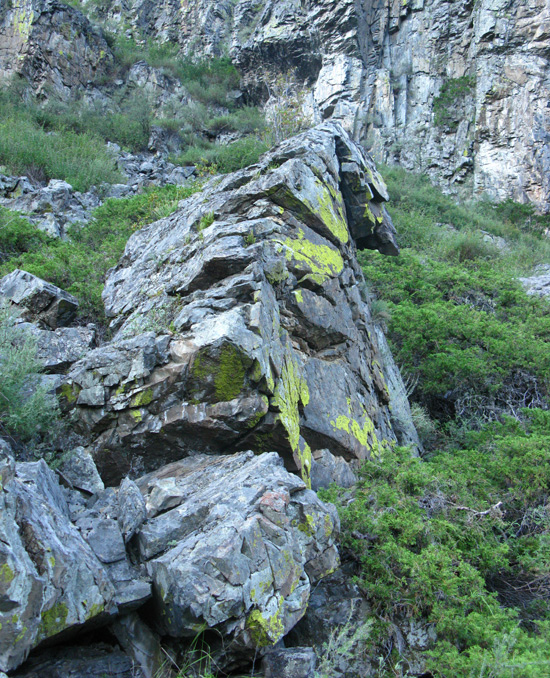 �������� ������� ��� ������