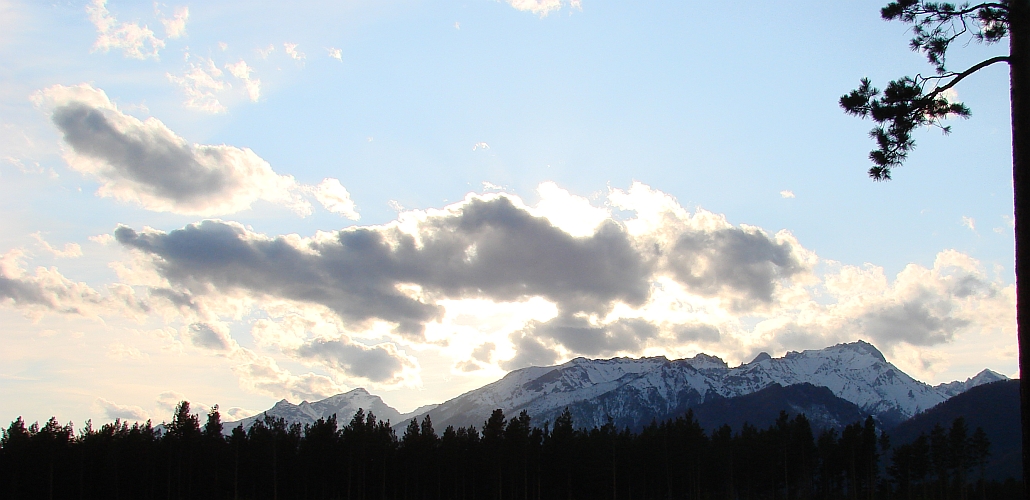 ���� � ����