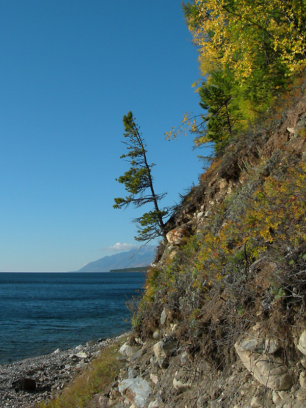 ���������� �������