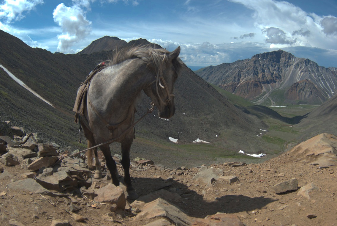 ��� ���� �� ���� �������?