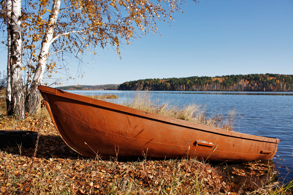 �������� �����