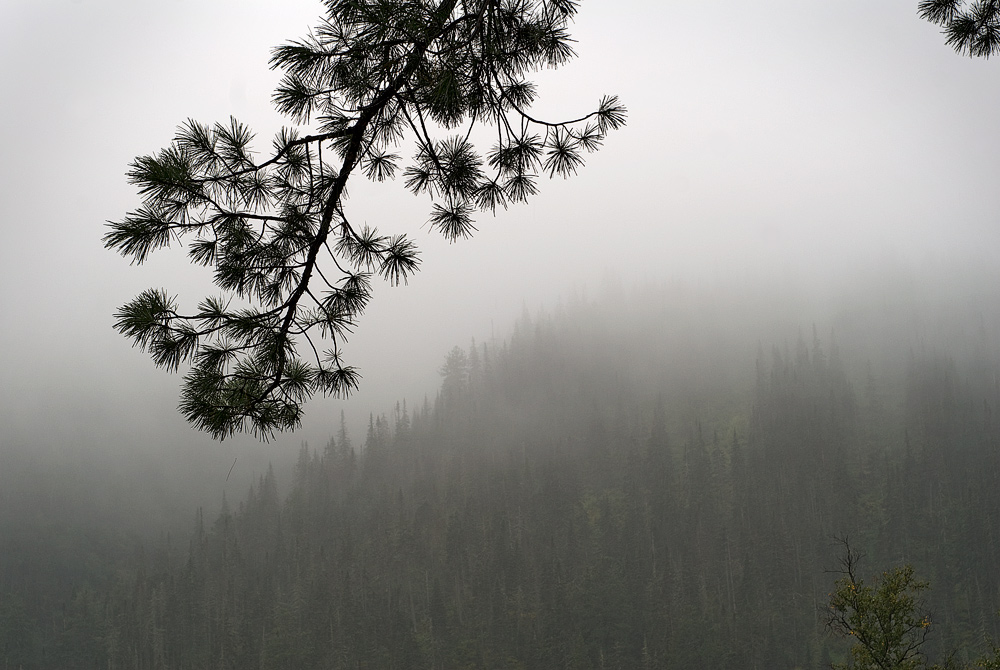 ����� ��������