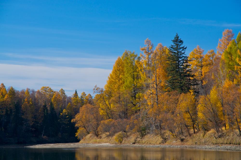 ������ �����