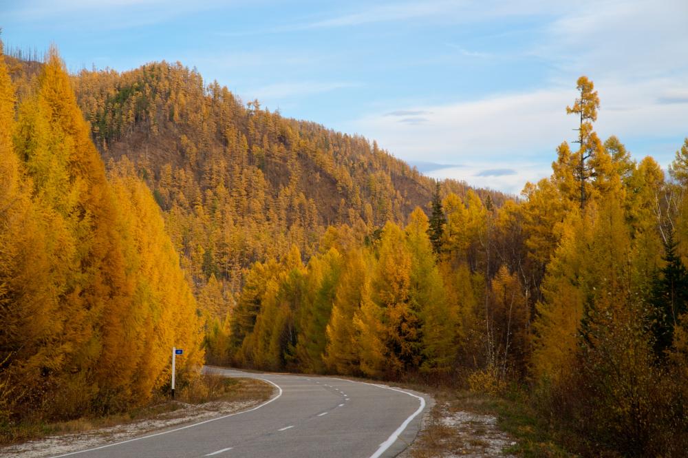 �����. ������ � �����.