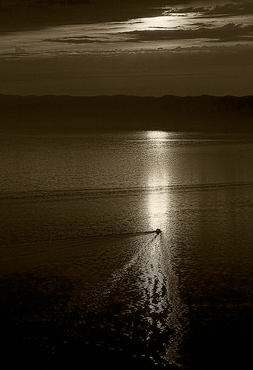 � ������