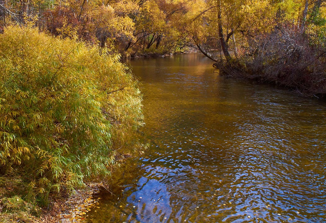 ������� �������������