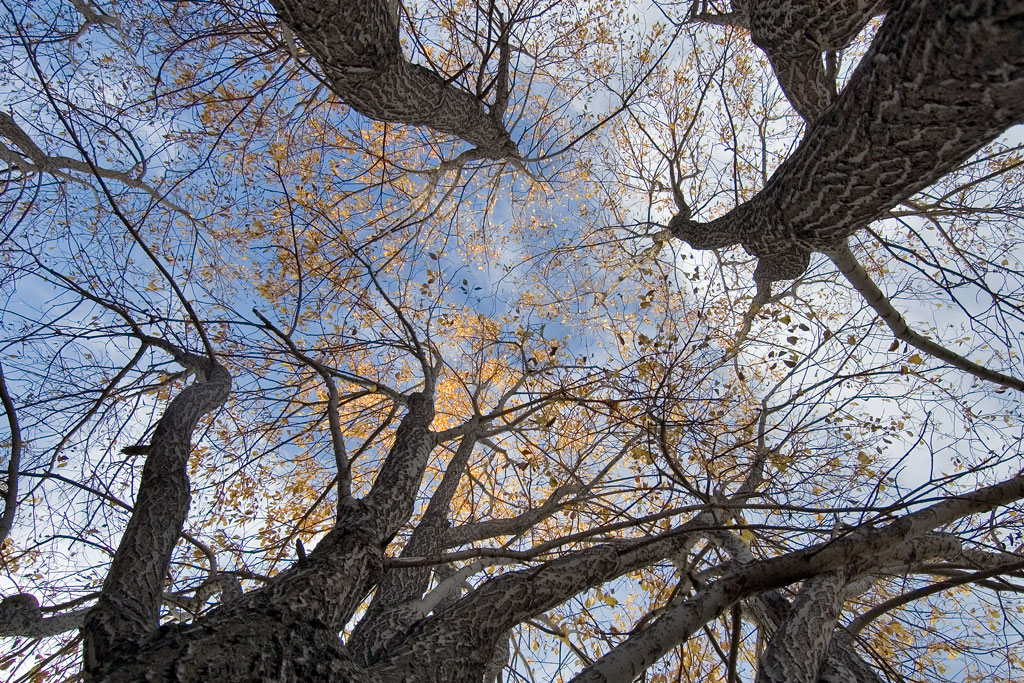 ������ ����� �����...