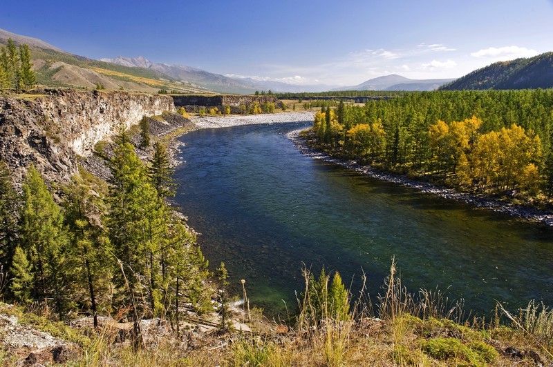 ��� ��������