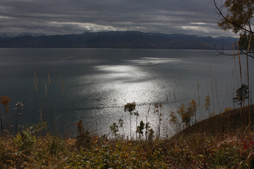 ������� ����� ������ ������