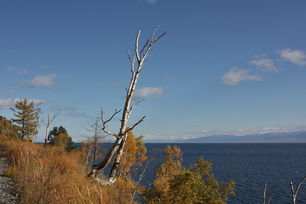 �����-�� ���� ������