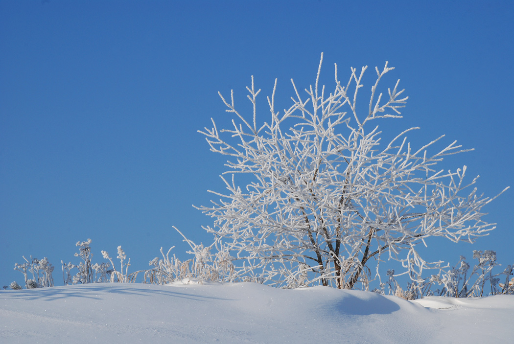 ������� �����