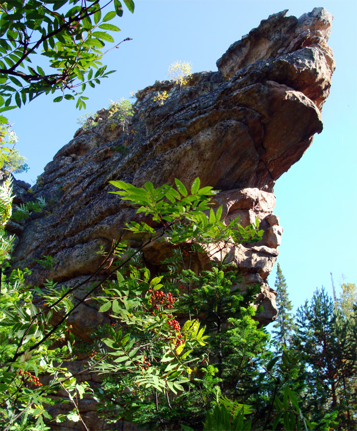 ������ #2