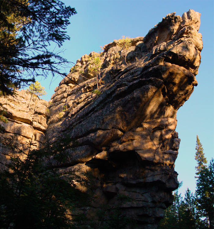 ������ # �����.