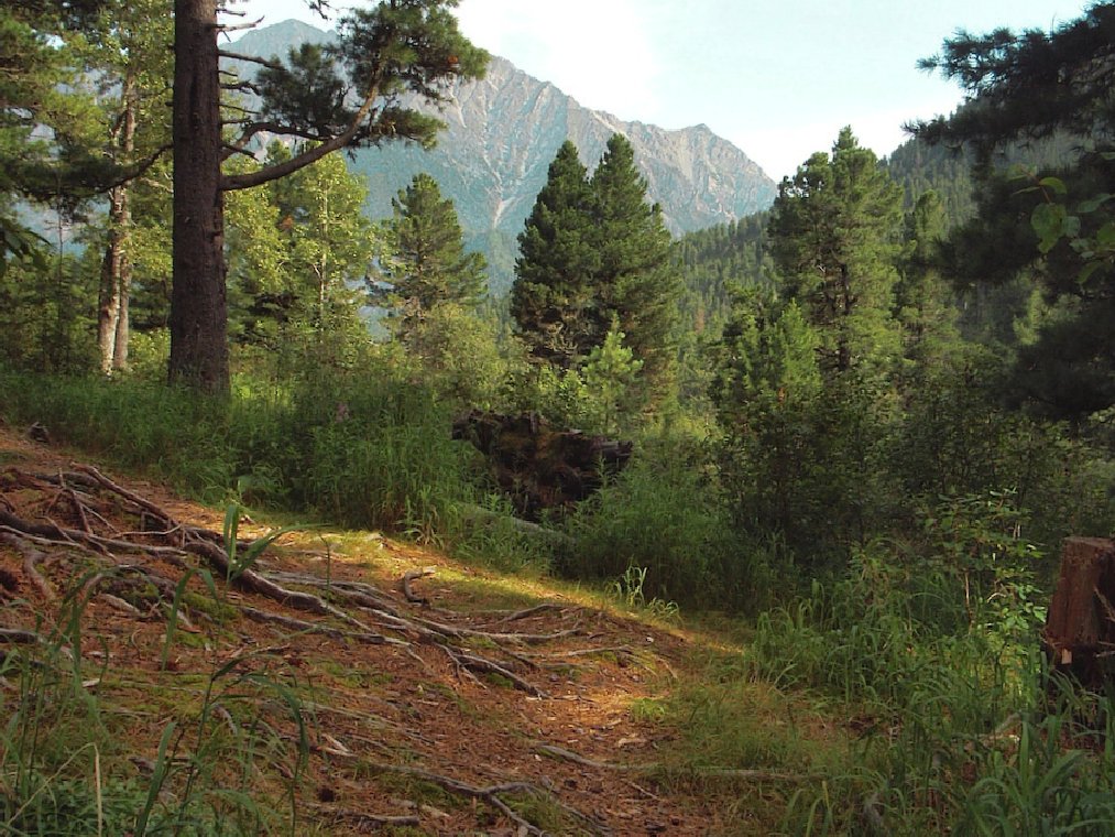 �� ������ �� ���������....