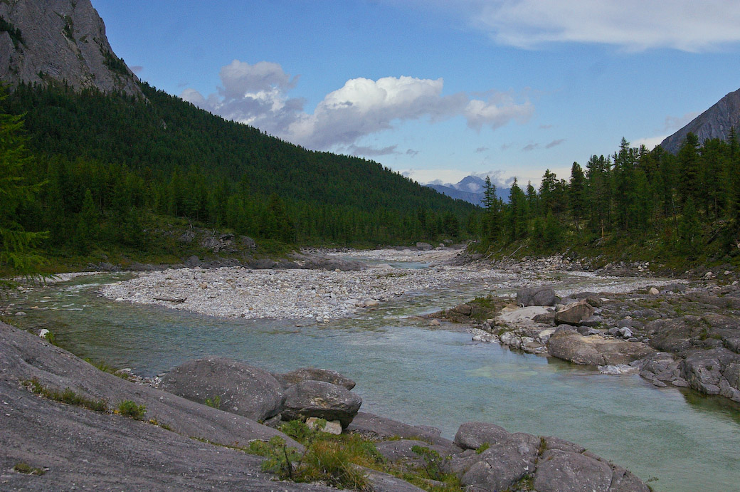 ����� ������� ������ ����