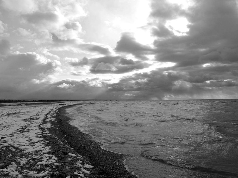 ������� ������ �� �������