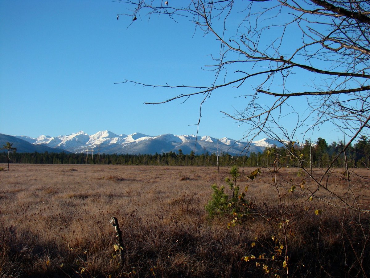 ������ ��� �����-�������