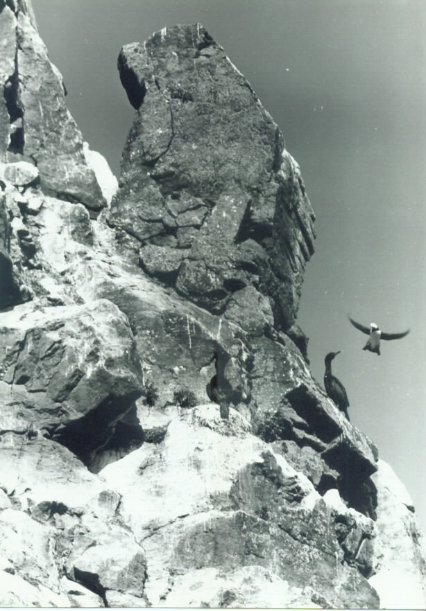 ������ �����