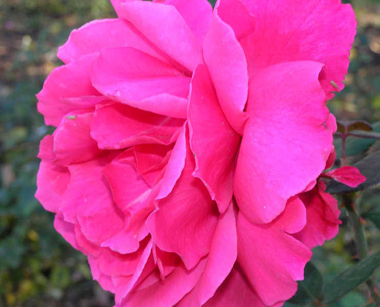 ������������ �� ����-���