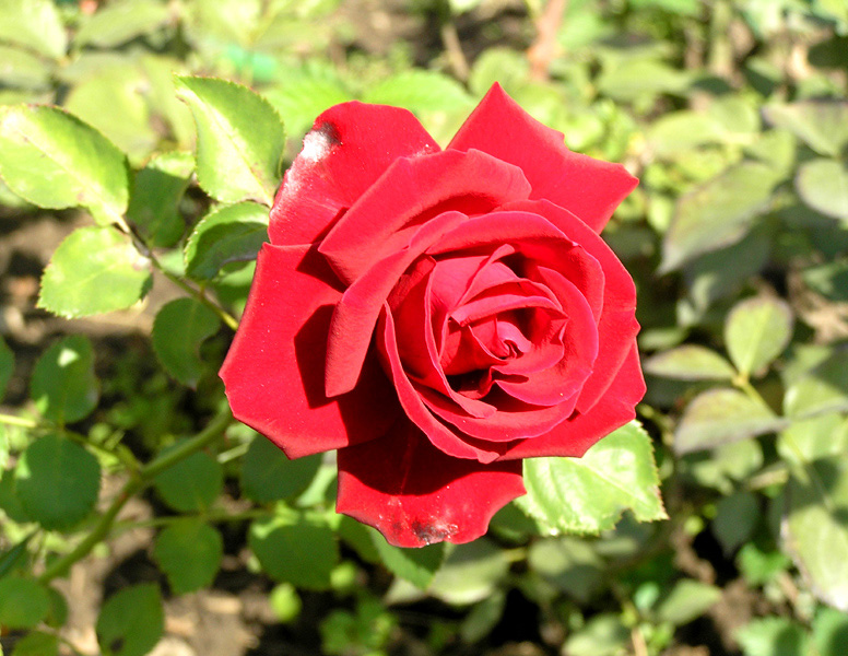 �������������....