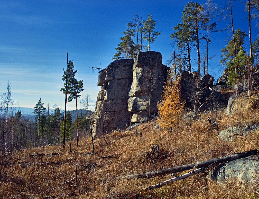 �������� ������ ���������� �����