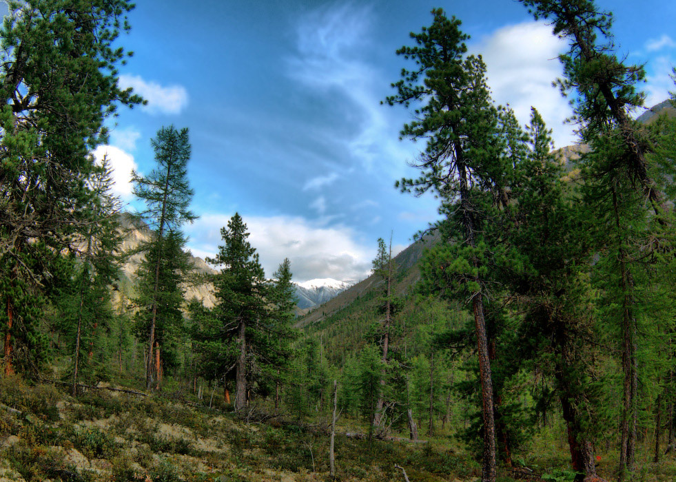 ����� ��������� � ����