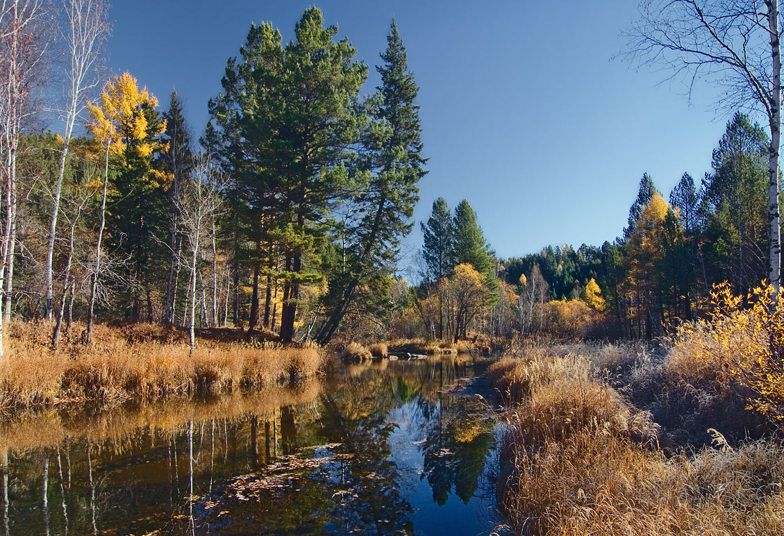 ����� �� ���� 5