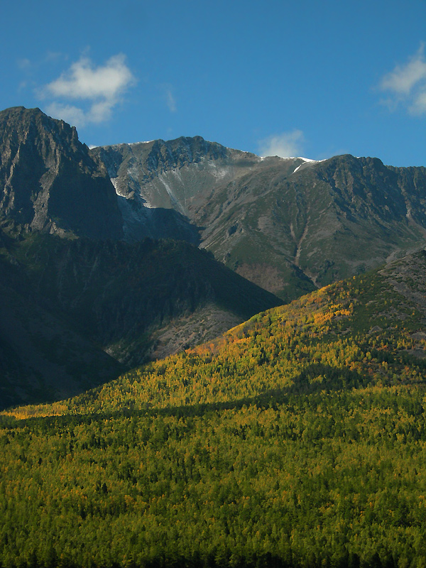 ���� ������ ����