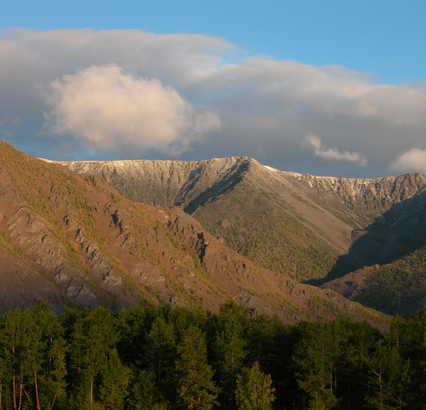 ������ ����� ������