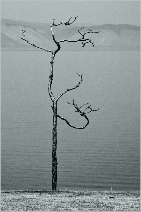 ����������� ������