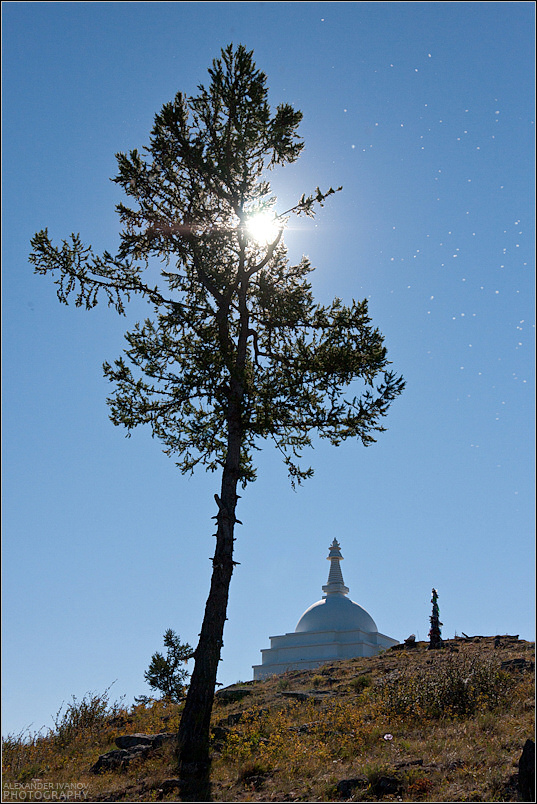 �� �. ���� (�������)