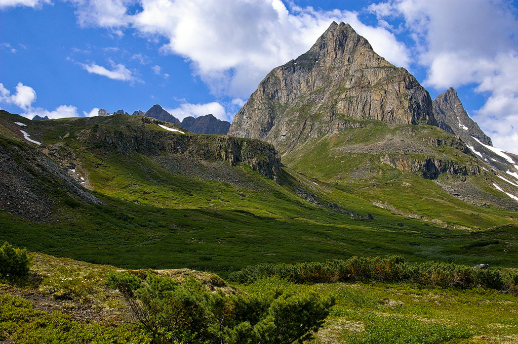 ���� �� ��������� �����