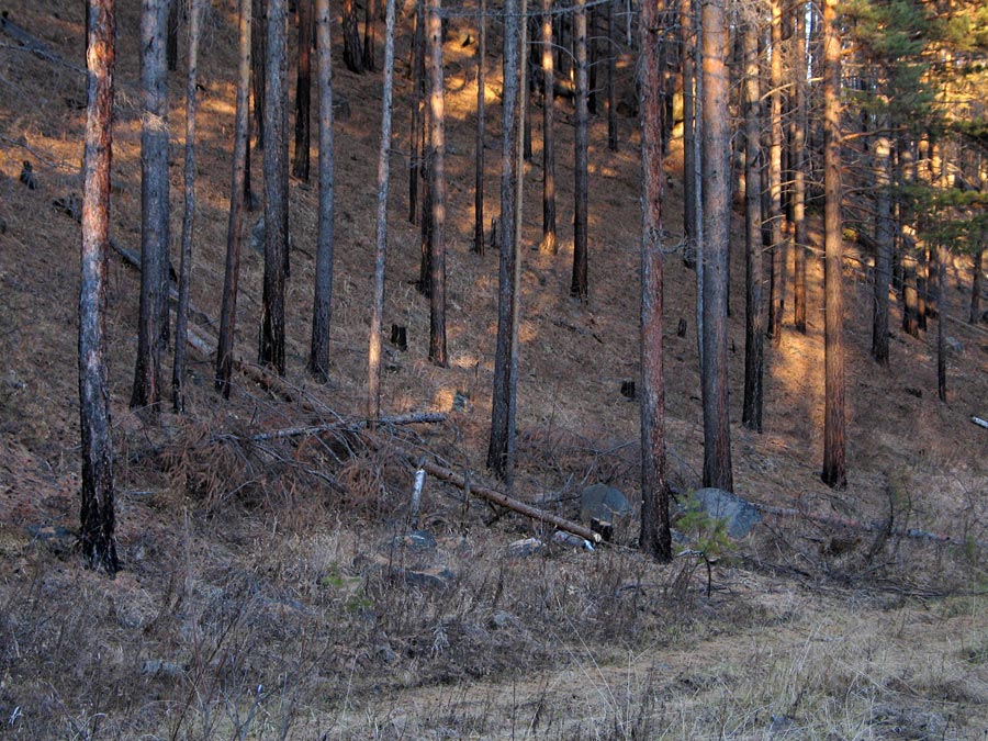 �������� �����