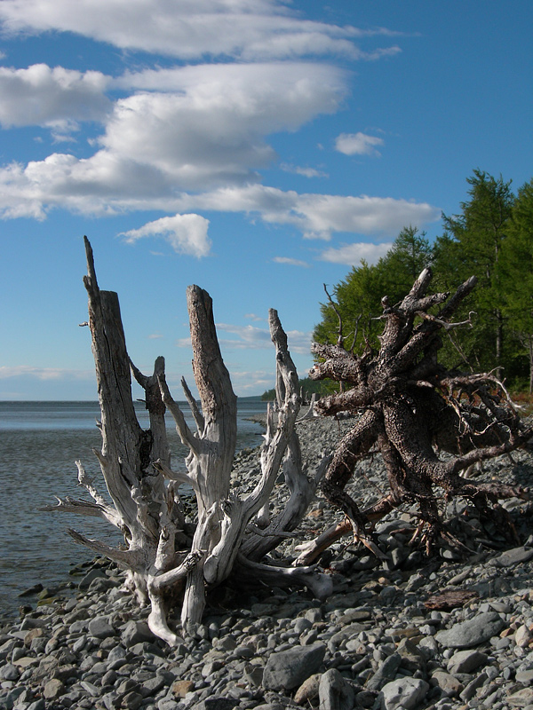 �� ����� �������. �������.