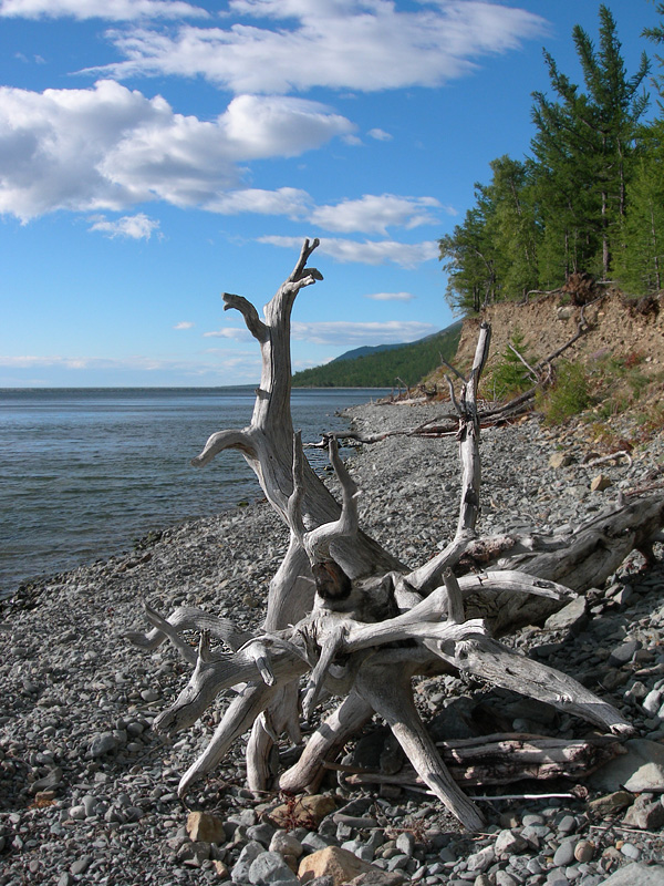 �� ����� �������. ���������. 