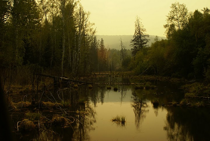 � ������ � ������