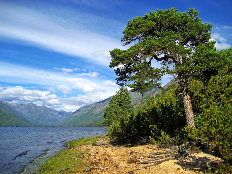 ������������ � �����