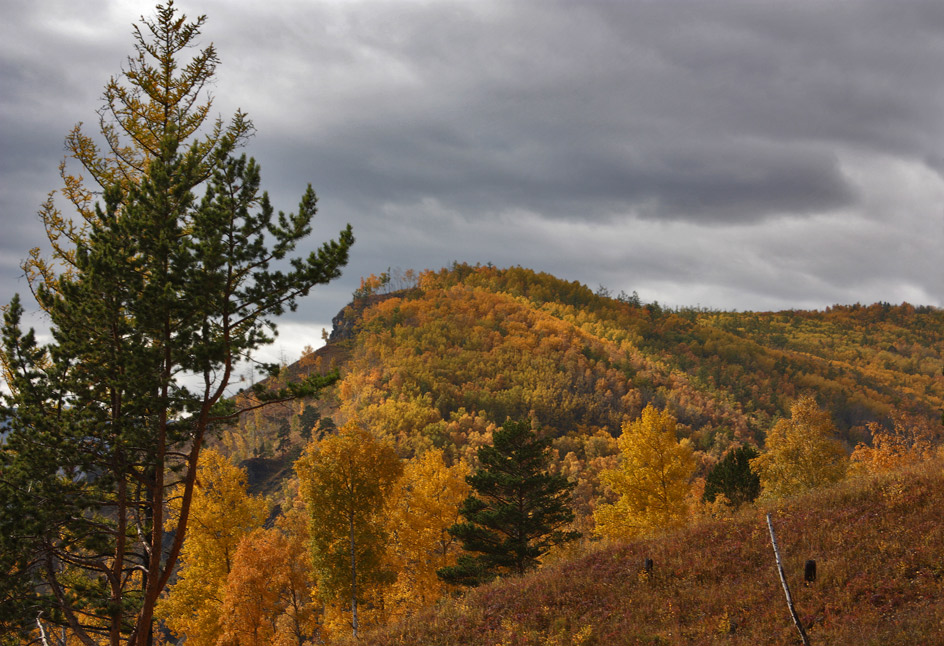 ������� ����