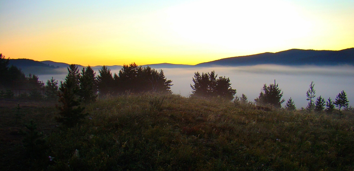 �������� �����