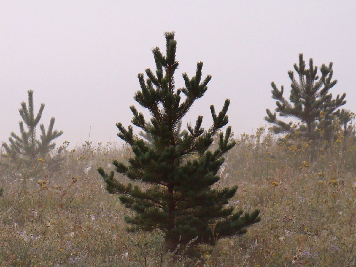 �����������������...