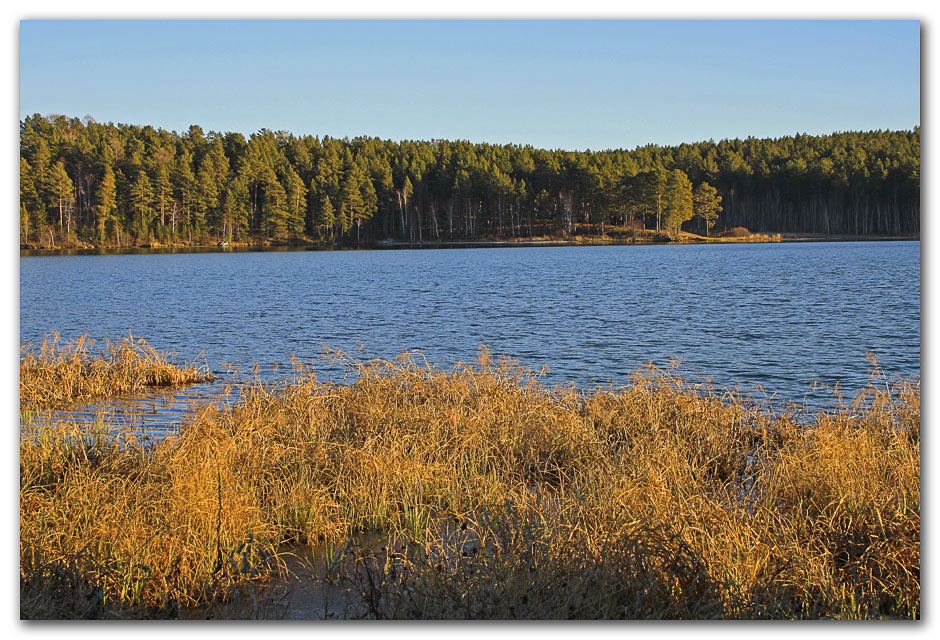 � ���������