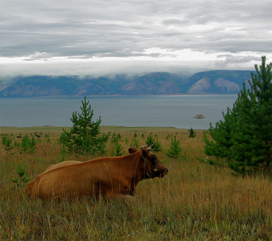 ���� � ������ � �������� ���������