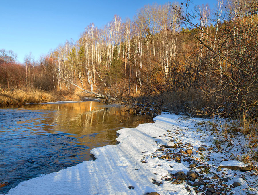 ���� ���������� 